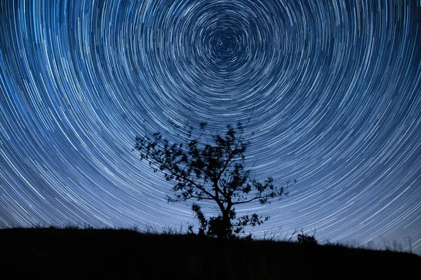 A tree silhouette against magical star trails