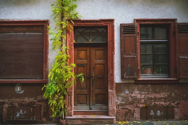 Μια Παλιά Πρόσοψη Κτιρίου Αναρριχητικό Εργοστάσιο Στη Χαϊδελβέργη Της Γερμανίας — Φωτογραφία Αρχείου