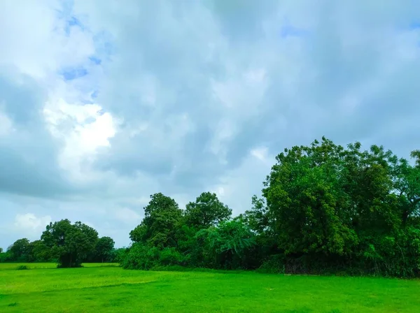 Ein Schöner Schuss Indian Village Forest Plant Baum Und Wolken — Stockfoto