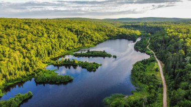 Ormanda manzaralı bir nehir