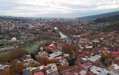 Ağaçlarla çevrili modern binaların havadan görünüşü