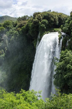 Ormandaki ağaçlarla dolu güzel bir şelalenin dikey görüntüsü.
