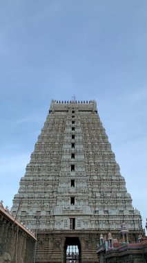 Hindistan, Tamil Nadu 'daki Raja Gopuram tapınağının alçak açısı.