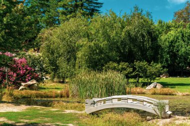 Güzel bir bahçede, yemyeşil bir havuzun üzerinde küçük bir köprü.