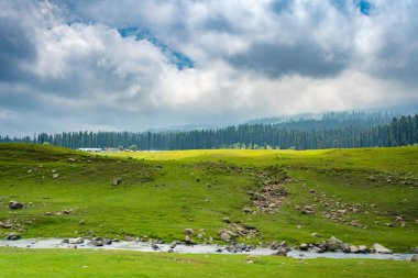 Hindistan, Kashmir, Srinagar 'daki Gulmarg Vadisi manzarası.
