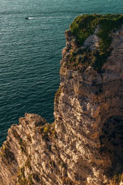 Fransa 'nın Etretat kentindeki kayalık tepenin üstünde büyüyen yosunların dikey görüntüsü.
