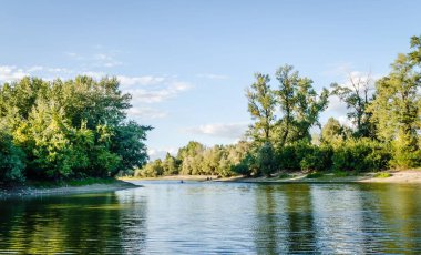 Sudaki ağaçların yansımasıyla sakin gölün güzel bir manzarası.