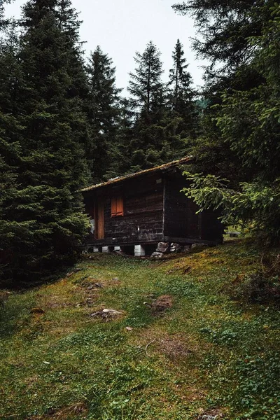 Plano Vertical Una Casa Madera Hermoso Bosque — Foto de Stock