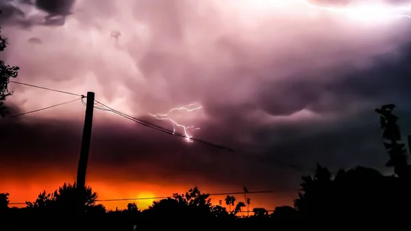 Vacker Utsikt Över Silhuetter Träd Mot Vacker Himmel Och Blixtar — Stockfoto