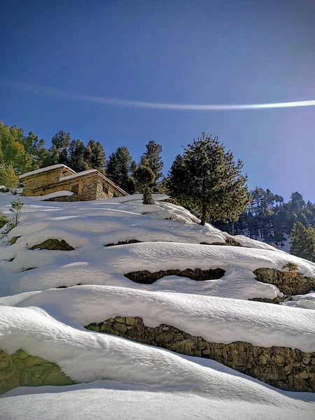 Piękny Zimowy Krajobraz Zielonymi Drzewami Wiejskimi Budynkami Tle Czystego Nieba — Zdjęcie stockowe