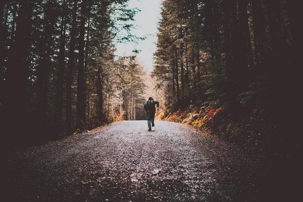 Una Persona Que Excursión Bosque Rodeado Árboles Oscuros Otoño —  Fotos de Stock