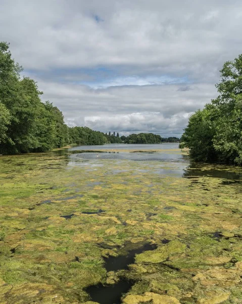 海藻日当たりの良い日とスタッフォードシャー湖の水 ストークオントレント イギリス — ストック写真
