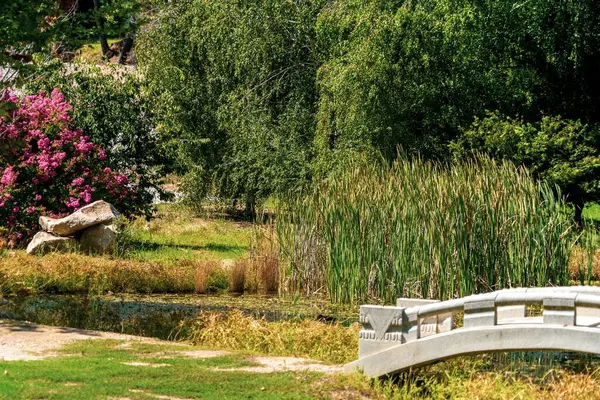 Pequeño Puente Sobre Estanque Hermoso Jardín Con Exuberante Naturaleza —  Fotos de Stock