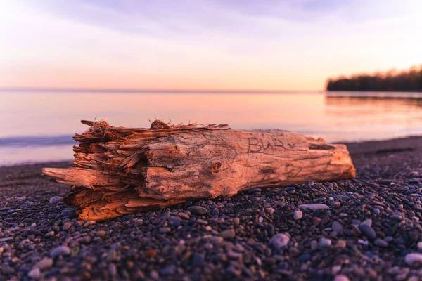 夕日のビーチでのログの美しい景色 — ストック写真