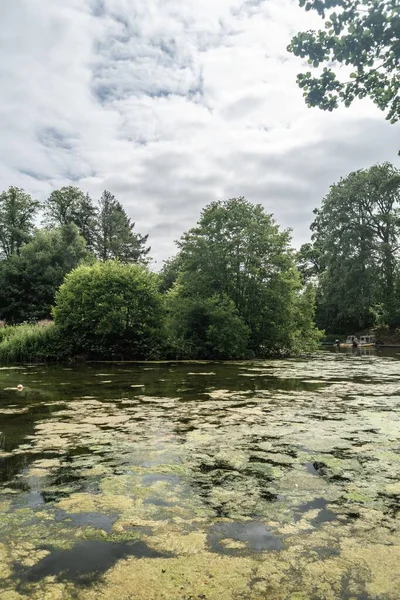 Staffordshire Lake Wasser Mit Algen Sonniger Tag Stoke Trent Großbritannien — Stockfoto