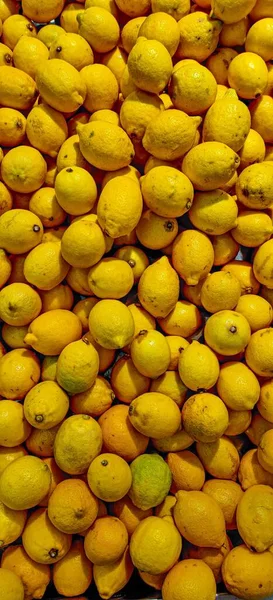 Taze Olgun Limon Yığını — Stok fotoğraf