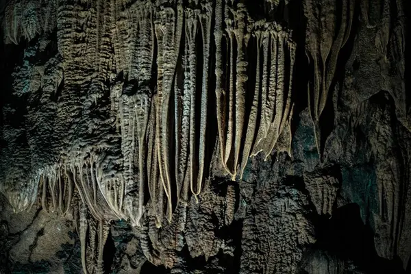 Een Close Van Lange Minerale Formaties Een Grot Muur — Stockfoto