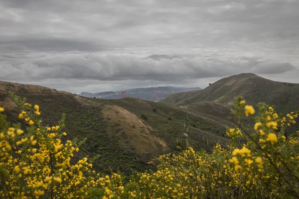 Yellow Wildflowers Hills Marin Headlands San Francisco Cloudy Sky — Stock Photo, Image