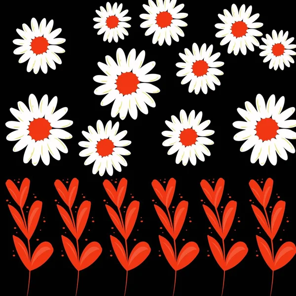 Fond Écran Avec Des Fleurs Marguerite Blanche Sur Fond Noir — Photo