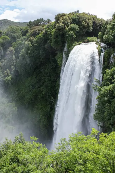 Colpo Verticale Una Bella Cascata Con Alberi Una Foresta — Foto Stock