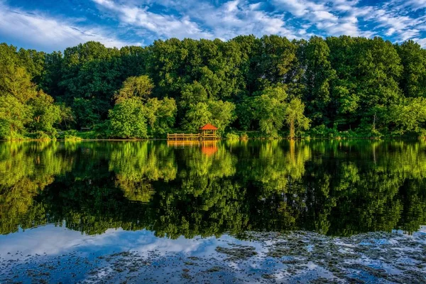 Una Splendida Vista Lago Calmo Circondato Alberi — Foto Stock