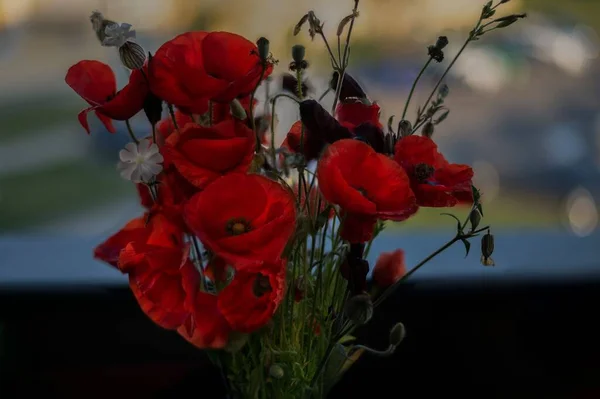 Nahaufnahme Eines Straußes Mit Wilden Mohnblumen — Stockfoto