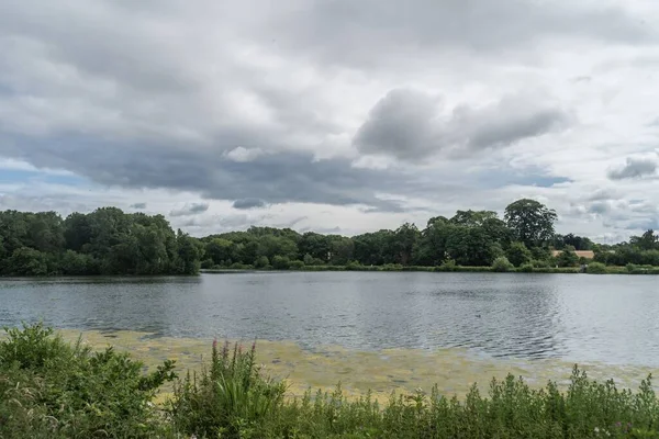 Staffordshire Gölü Suyunda Algler Güneşli Bir Günde Stoke Trent Ngiltere — Stok fotoğraf