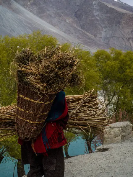 Vertical Shot Villager Carrying Dried Branches Basket Mountain Background — Stock Photo, Image