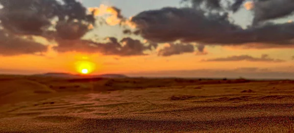 Die Sanddünen Der Wüste Gegen Den Sonnenuntergang — Stockfoto