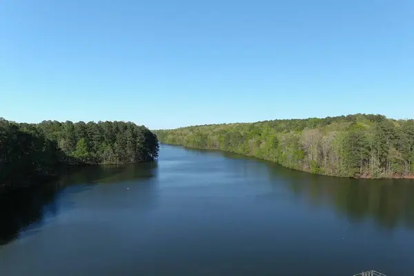 Ein Drohnenblick Auf Einen Breiten Fluss Umgeben Von Dichten Wäldern — Stockfoto