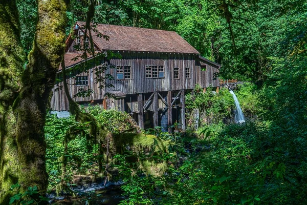 Hisnande Utsikt Över Cedar Creek Grist Mill Omgiven Grönskande Grönska — Stockfoto