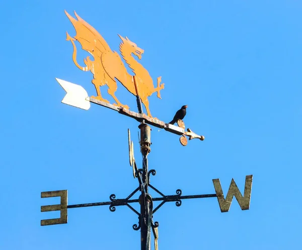 Eine Amsel Sitzt Auf Einer Wetterfahne Die Goldene Drachenfahne Gegen — Stockfoto