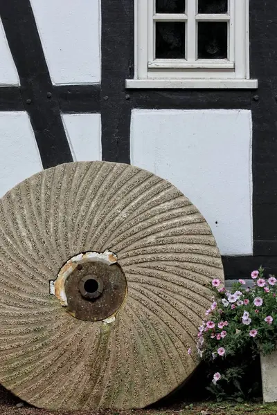 Tiro Vertical Uma Perto Arbusto Flor Contra Uma Casa Rural — Fotografia de Stock