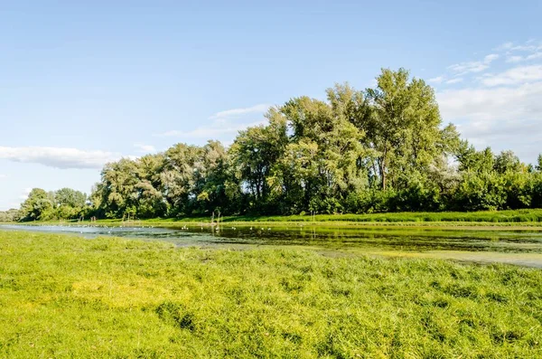 Ulusal Park Güzel Bir Göl Manzarası Sodros Güneşli Bir Günde — Stok fotoğraf