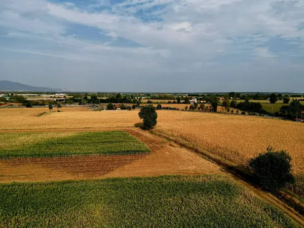 Veduta Paesaggistica Campo Agricolo Sotto Cielo Nuvoloso — Foto Stock