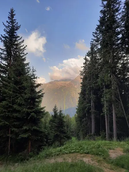 Flot Billede Bjergene Fra Zillertal - Stock-foto
