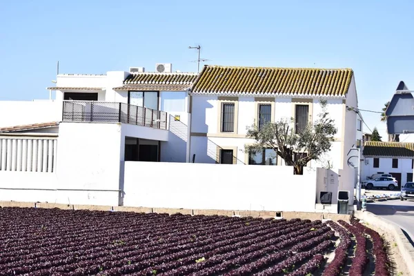 Traditionele Villa Veld Valencia Spanje — Stockfoto