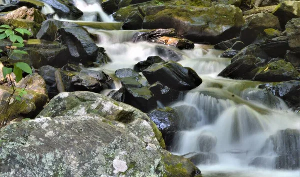 Zbliżenie Ujęcie Świeżego Górskiego Potoku — Zdjęcie stockowe