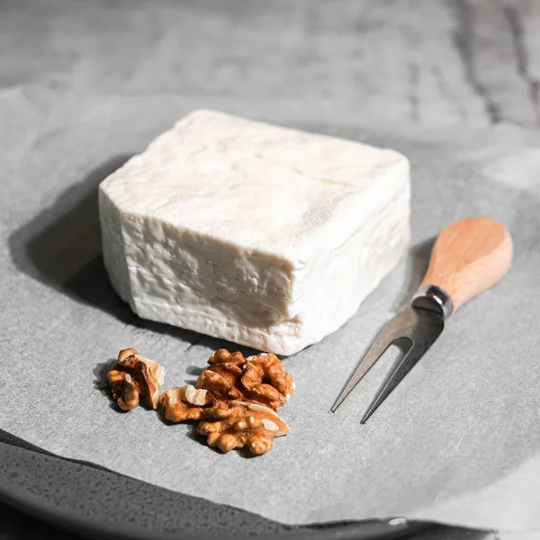 Closeup White Cheese Served Walnuts Gray Background — Stock Photo, Image