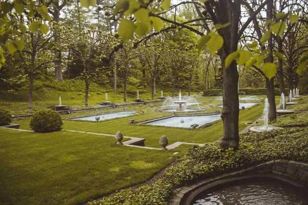 Park Water Fountains Surrounded Trees — Stock Photo, Image