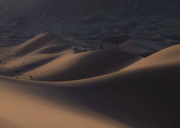 Αμμόλοφοι Μια Έρημο — Φωτογραφία Αρχείου