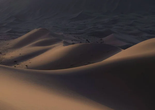 Sand Dunes Desert — Stock Photo, Image