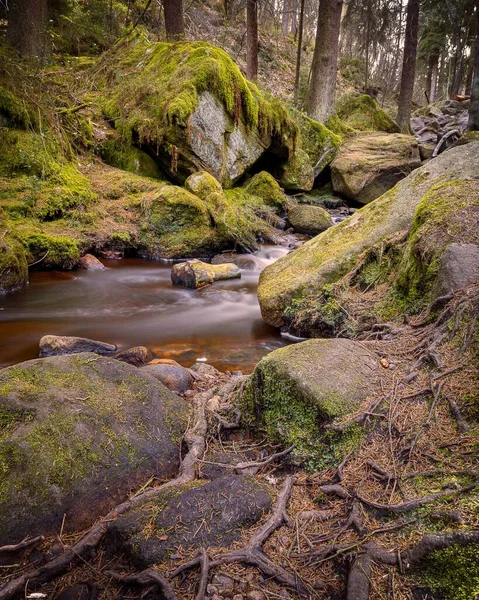 Uma Paisagem Deslumbrante Rio Wyming Brook Fluindo Uma Floresta Misteriosa — Fotografia de Stock