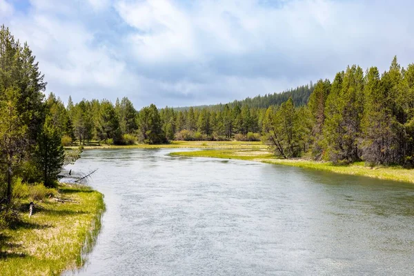 Malowniczy Widok Deschutes River Otoczony Zielenią Pod Błękitnym Zachmurzonym Niebem — Zdjęcie stockowe