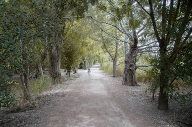 Estany d 'Ivars' daki ormanda yürüyen bir çocuğun güzel manzarası.