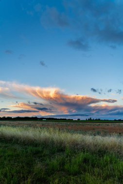 Gün batımının dikey görüntüsü bulutlu gökyüzü yeşil çimen tarlaları üzerinde