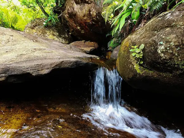 オーストラリアのチンチラの森の岩棚から小さな滝 — ストック写真