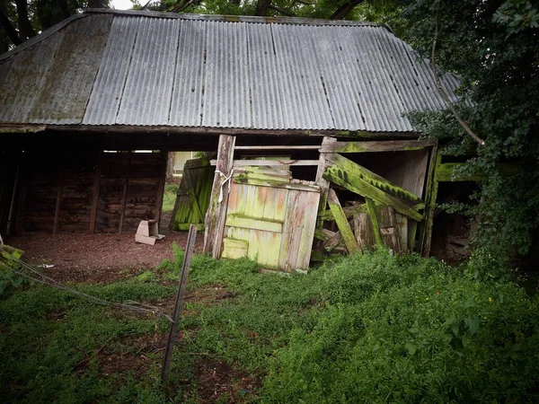 Old Abandoned Wooden Barn Corrugated Iron Roof Surrounded Green Plants — Stock Photo, Image