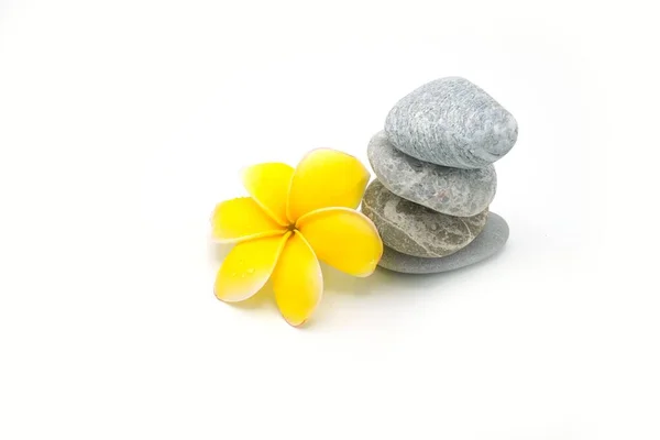Een Prachtige Spa Compositie Gemaakt Van Zen Stenen Kleurrijke Bloemen — Stockfoto
