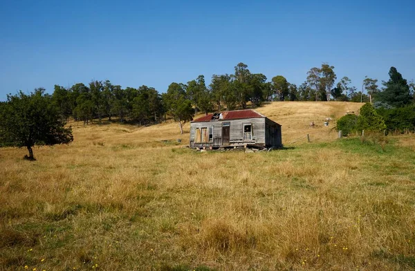 Derelict Stuga Mitt Ett Torrt Gräsfält Tasmanien Australien — Stockfoto